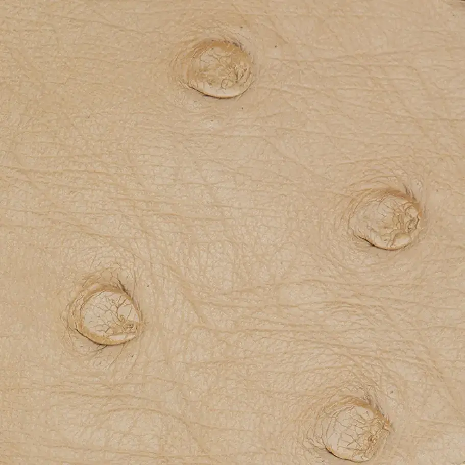 cappuccino-struzzo-swatch